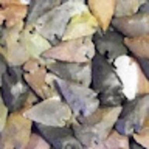 Meet your Posher, Winston